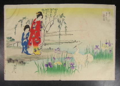 Toyohara Chikanobu: May- Two ladies looking at two herons in a large iris pond - Japanese Art Open Database