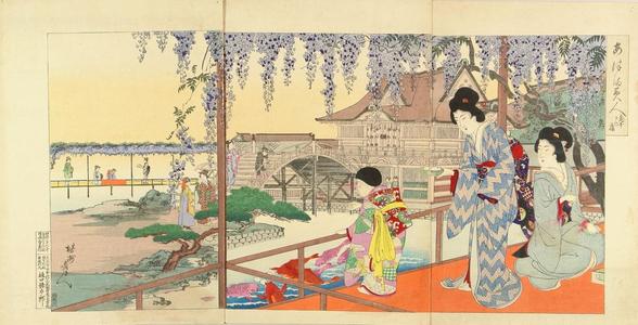 Toyohara Chikanobu: Wisteria at Kameido - Japanese Art Open Database