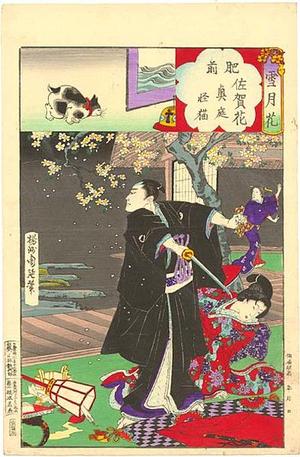 Toyohara Chikanobu: Hizen Province - Saga flowers and mysterious cat of the inner garden - Japanese Art Open Database