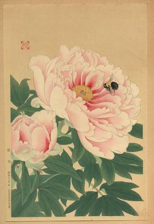 Fukuda Suiko: Peony and Bee - Japanese Art Open Database