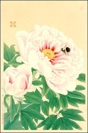 Fukuda Suiko: Peony and Bee - Japanese Art Open Database