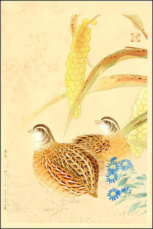 Fukuda Suiko: Quail & Grasses - Japanese Art Open Database