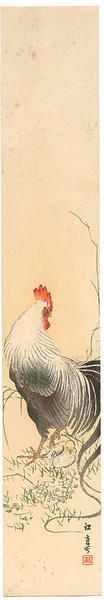 Fukui Kotei: Rooster - Japanese Art Open Database