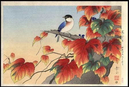 Gakusui Ide: Japanese Ivy and Titmouse - Japanese Art Open Database