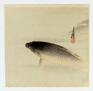 Gekko Ogata (尾形月耕)による浮世絵「The Rising Koi (Japanese carp)」