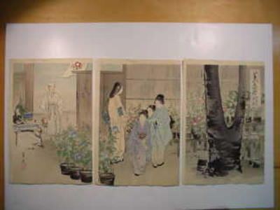 尾形月耕: MORNING GLORIES AT IRIYA, TOKYO - Japanese Art Open Database