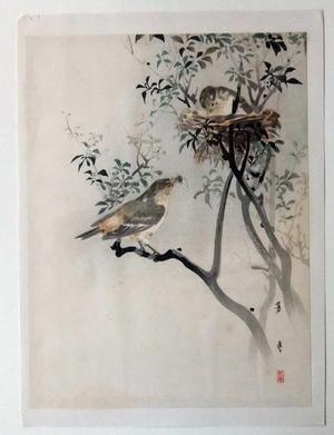 Gesso Yoshimoto: Nesting Sparrows - Japanese Art Open Database