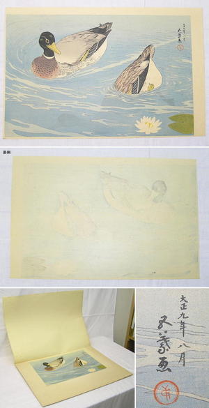 Hashiguchi Goyo: Mandarin Ducks — 鴛鴦鴨 - Japanese Art Open Database