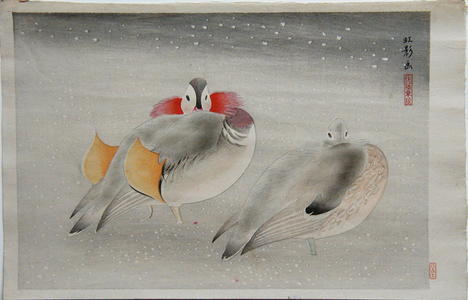 Hashimoto Koei: Mandarin Ducks in Snow - Japanese Art Open Database