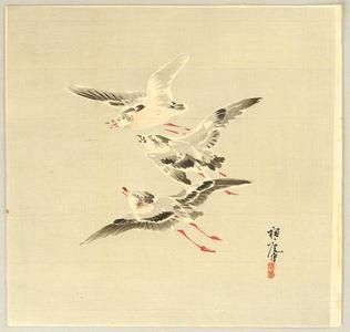 平福穂庵: Three Birds - Japanese Art Open Database