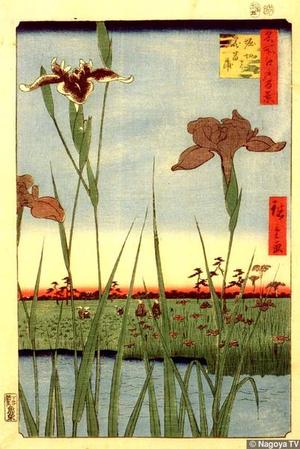 Utagawa Hiroshige: The Iris Garden at Horikiri — 在 - Japanese Art Open Database