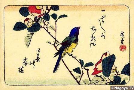 Utagawa Hiroshige: Bird and flower 2 — 椿と小鳥 - Japanese Art Open Database