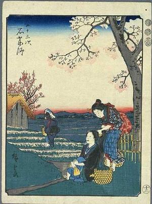 Utagawa Hiroshige: Ishiyakushi - Japanese Art Open Database