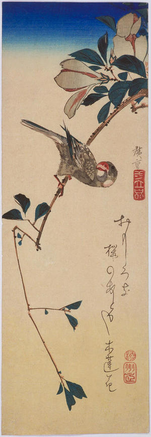 Utagawa Hiroshige: Magnolia and Java Sparrow — 木蓮に文鳥 - Japanese Art Open Database