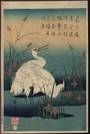 歌川広重: Shirasagi (Snowy Heron)- repro - Japanese Art Open Database