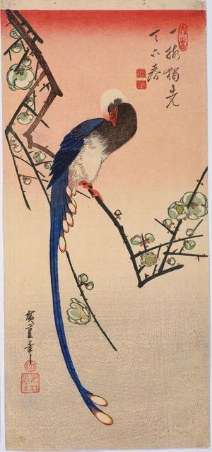 Utagawa Hiroshige: White Plum and Jutaicho — 白梅に寿帯鳥 - Japanese Art Open Database