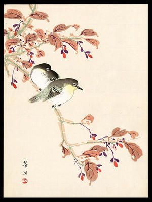 Hobun Kikuchi: Japanese White-eyes on Cherry Branch - Japanese Art Open Database