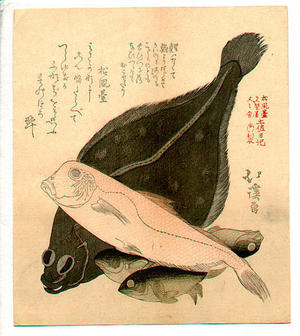 Hokkei Toyota: fish - Japanese Art Open Database