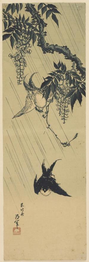 Katsushika Hokusai: Swallows and wisteria - Japanese Art Open Database
