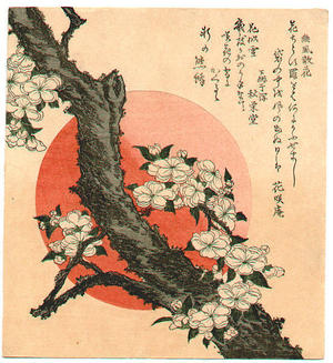 Katsushika Hokusai: flower - Japanese Art Open Database