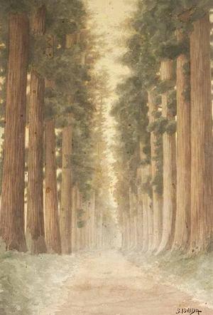 Ishida S: Road Bordered by Coast Redwoods - Japanese Art Open Database