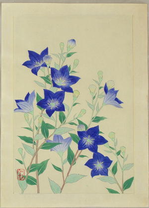 Ito Nisaburo: Chinese Bell Flower - Japanese Art Open Database
