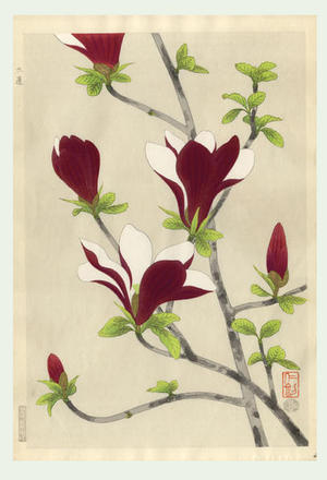Ito Nisaburo: Magnolia - Japanese Art Open Database