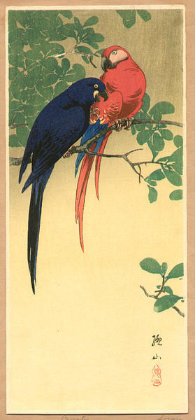 Ito Sozan: Blue and Red Macaws - Japanese Art Open Database
