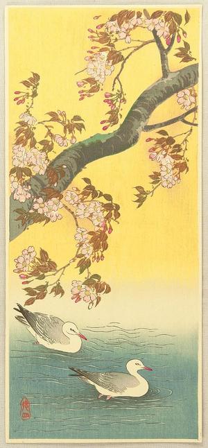 Ito Sozan: Two Gulls and Cherry Tree - Japanese Art Open Database