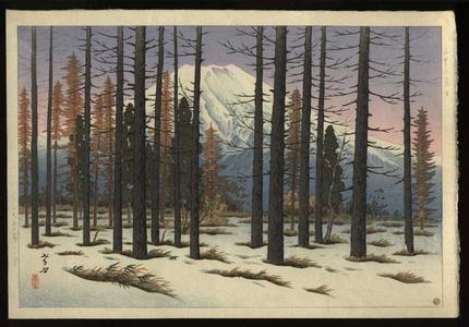 Henmi Takashi: Mt Fuji seen from Yamanaka - Japanese Art Open Database