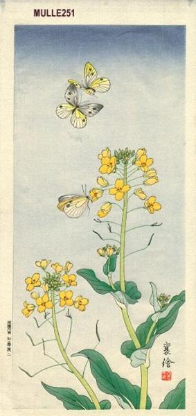 Jo: Butterflies - Japanese Art Open Database