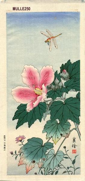 Jo: Dragonfly and Hibiscus - Japanese Art Open Database