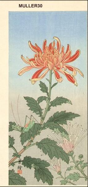Jo: Grasshopper and Chrysanthemum - Japanese Art Open Database