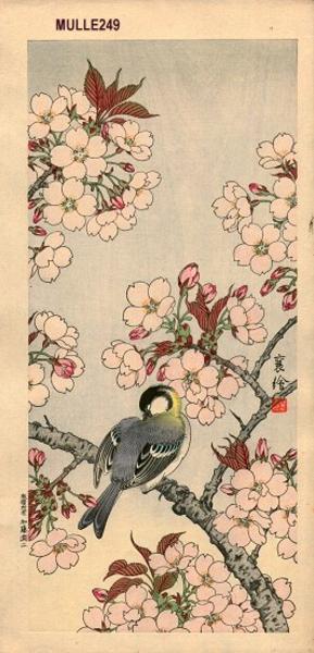 Jo: Sparrow and cherry blossoms - Japanese Art Open Database