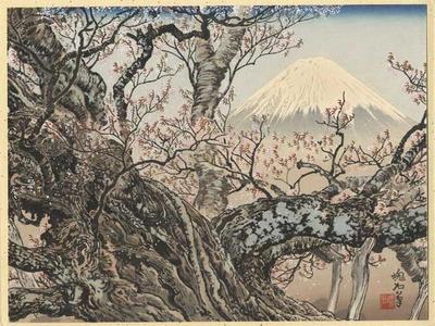 Jokata Kaiseki: The Komadome Cherry Tree and Mt Fuji - Japanese Art Open Database