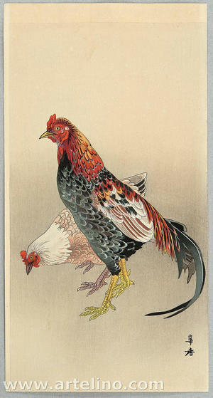 Kako Morita: Fighting Rooster and Hen - Japanese Art Open Database