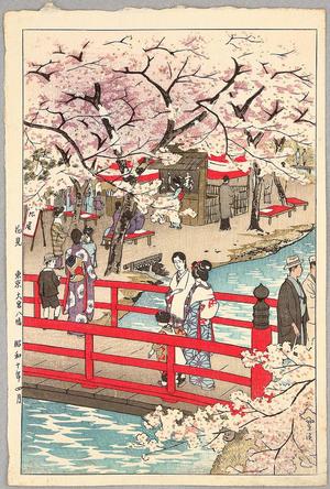 笠松紫浪: Cherry Blossom Viewing- Tokyo Ohmiya Hachiman - Japanese Art Open Database