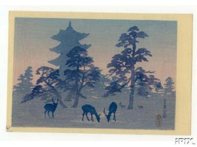 Kasamatsu Shiro, 笠松紫浪 (Kasamatsu Shiro (笠松))による浮世絵「Deer at Nara」