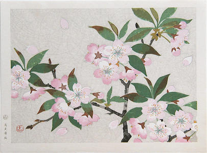 Kato Shinmei: Cherry blossoms - Japanese Art Open Database