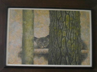 Katsuda Yukio: No 076 Sleeping Cat - Japanese Art Open Database