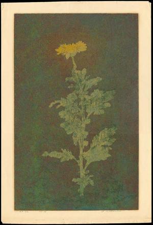 Katsuda Yukio: No 34- flower - Japanese Art Open Database