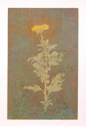 Katsuda Yukio: No 34- flower - Japanese Art Open Database