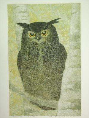 Katsuda Yukio: White Birch and Horned Owl — 白樺とみみずく - Japanese Art Open Database