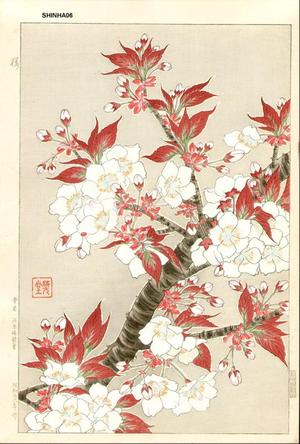 Kawarazaki Shodo: Cherry - Japanese Art Open Database