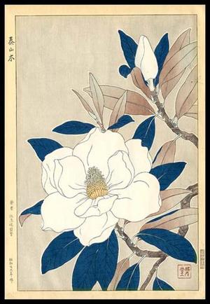Kawarazaki Shodo: Flowers 11 - Japanese Art Open Database
