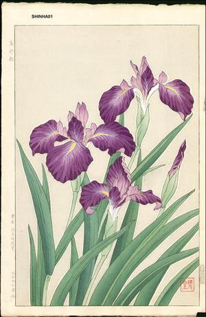 Kawarazaki Shodo: Iris - Japanese Art Open Database