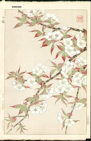 Kawarazaki Shodo: Mountain Cherry - Japanese Art Open Database