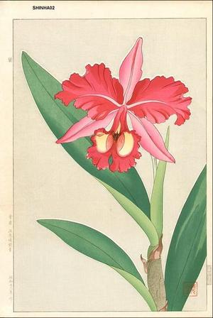 Kawarazaki Shodo: Orchid 1 - Japanese Art Open Database