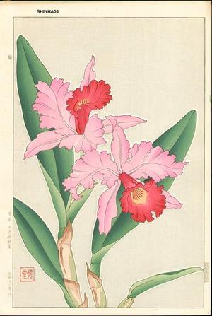 Kawarazaki Shodo: Orchid 2 - Japanese Art Open Database
