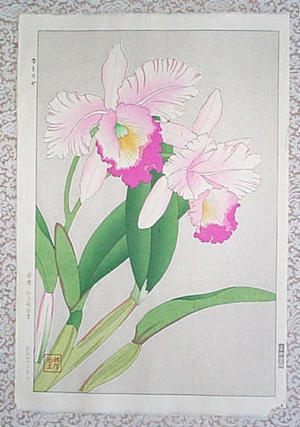 Kawarazaki Shodo: Orchid - Katoriya - Japanese Art Open Database